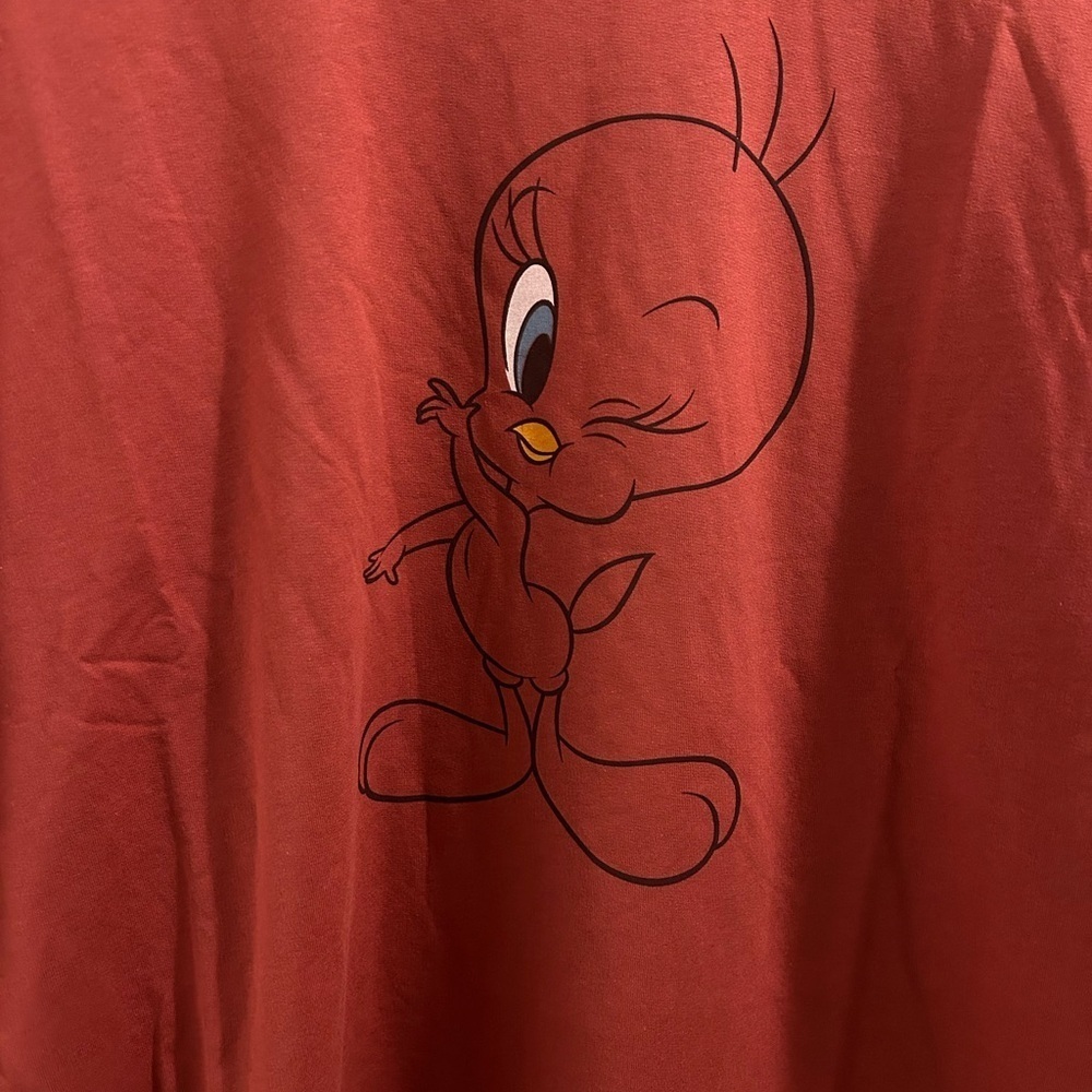 Penningtons Looney Tunes crew neck sweatshirt with Tweety Bird print - Picture 6 of 13